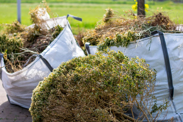 Best Mattress Removal Service  in Rosemont, CA